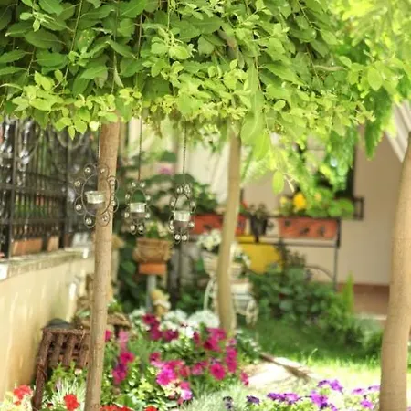 Joleks Ohrid